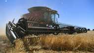 Chinese appetite for Australian barley is back
