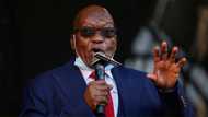 ANC's National Executive Committee rejects Jacob Zuma task force proposal