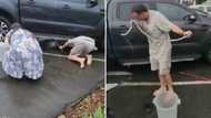 Huge black mamba snake pulled from the body of a car by KZN snake rescuer Nick Evans in the pouring rain