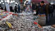 Turkey's inflation rate slows sharply to 64.3%