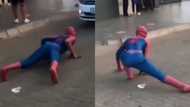 Kasi Spiderman at it again, video leaves Mzansi howling with laughter