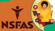 NSFAS balance check online: Easy steps to verify your balance (2024)