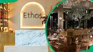 Ethos Restaurant's menu and prices: Mediterranean cuisine in Rosebank