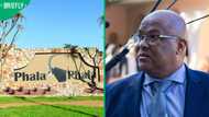 Fraser confident Constitutional Court's Phala Phala ruling will prove everyone is equal, SA debates