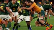 Rugby legend reveals how Springboks gave Wallabies a false sense of security before All Blacks defeat