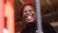 AfriForum calls for Malema perjury probe, says he cannot pay R500k, lawyer argues R3m & pricy fashion sense