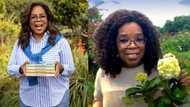 From bobotie to bunny chow: Oprah's South African inspired Thanksgiving dinner excites Mzansi