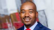 Nelson Chamisa bio: Family, extensive political career, and more