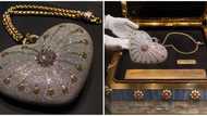 World’s most expensive bag: Mouawad ‘1001 Nights Diamond’ purse is worth R58 million