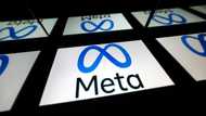 Canada media seek probe of Meta's news block