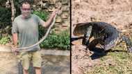 “He is big!”: Durban’s snake wrangler Nick Evans catches a large monitor lizard found in woman’s home office