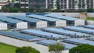 Singapore eases movement curbs for migrant workers