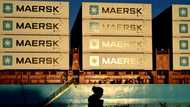 Shipping giant Maersk's profit sinks, warns of Red Sea risk