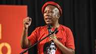 Covid-19: EFF gives alcohol sales and opening of schools a thumbs down