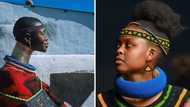 Ndebele clan names, best baby names and surnames: Exhaustive list