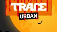 Crucial details about the Trace Urban filmmaking competition