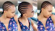 Social media reacts as African lady flaunts her natural hair