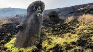 Easter Island blaze chars famous moai statues