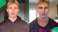 A man on TikTok ranked South Africa’s ten deadliest animals and revealed surprising statistics