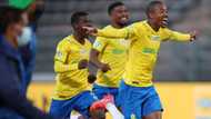 Amazing: Mamelodi Sundowns fans share their favourite moments this season so far