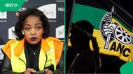 ANC calls on law enforcement to act without fear after MMC Nomoya Mnisi was arrested