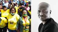 Fana Mokoena believes ANC has collapsed itself, Saffas clap back: 'Stick to acting, Mhlekazi'