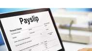 The most reliable free and proprietary payroll software in South Africa