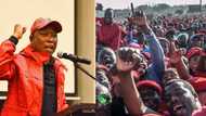 Julius Malema's Twitter account suspended following inflammatory post