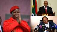 Malema says Zondo must reveal secret meeting with Zuma and he will do the same