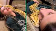 Viral TikTok sparks debate: Young girl cuddles giant snake, people sure it’s sizing her up to eat