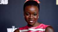 The amazing life of the Zimbabwean-American actress Danai Gurira