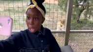 "She was never ready": Girl taking a selfie gets interrupted by a lion