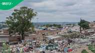 Illegal dumping in Johannesburg taken over by ‘mafia-style’ syndicates