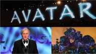Avatar 2: Director James Cameron says the sequel's filming is finished