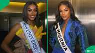 Miss Nigeria Chidimma Adetshina fights deportation at Cape Town court following her arrest