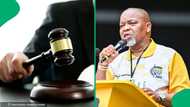 Gwede Mantashe wins defamation case as court finds theft claim false, SA says judiciary is captured
