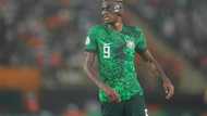 AFCON 2023: Victor Osimhen declared fit for Bafana Bafana vs Nigeria semi-final