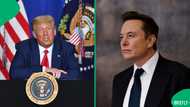 Donald Trump slams Elon Musk's political party, divides social media by calling it ridiculous