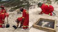 Saving the planet: Selfless women remove raw plastic from beaches