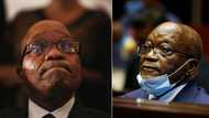 Jacob Zuma set to ask the Pietermaritzburg High Court for a stay of arrest