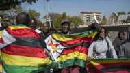 Government backtracks on cancellation of Zim permits, discussion gets intense