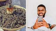 Mzansi shares hilarious reactions to yellow pap and mopane worm dish: "They taste like electricity”