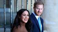 Prince Harry claims people said he couldn't land Meghan Markle because of his hair colour, peep divided: "Lost soul"