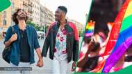 "They look so good": 2 Men holding hands at Johannesburg Pride in TikTok video fascinate Mzansi
