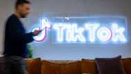 TikTok search results rife with misinformation: report