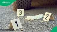 5 murder suspects killed in deadly shootout with SAPS in KwaZulu-Natal