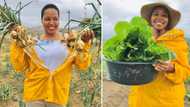 Talented farmer who supports 8 family members with her business inspires peeps