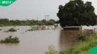 Two Zimbabwean nationals confirmed dead in Eastern Cape floods, search continues for third man