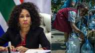 Lindiwe Sisulu says Cuban engineers are for mentorship, not employment
