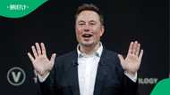 "Rubbish": Elon Musk blames his race over Starlink rejection in SA, peeps slam billionaire